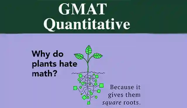 Dr. Donnelly - Manhattan's best GMAT tutor